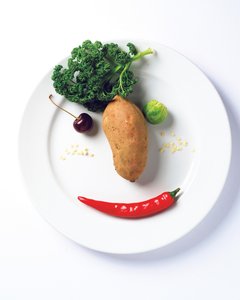 智能宠物喂食器使用技巧：定时出粮防宠物暴食